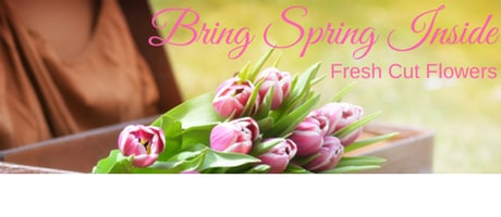 Beautiful Seasonal Flowers Banner